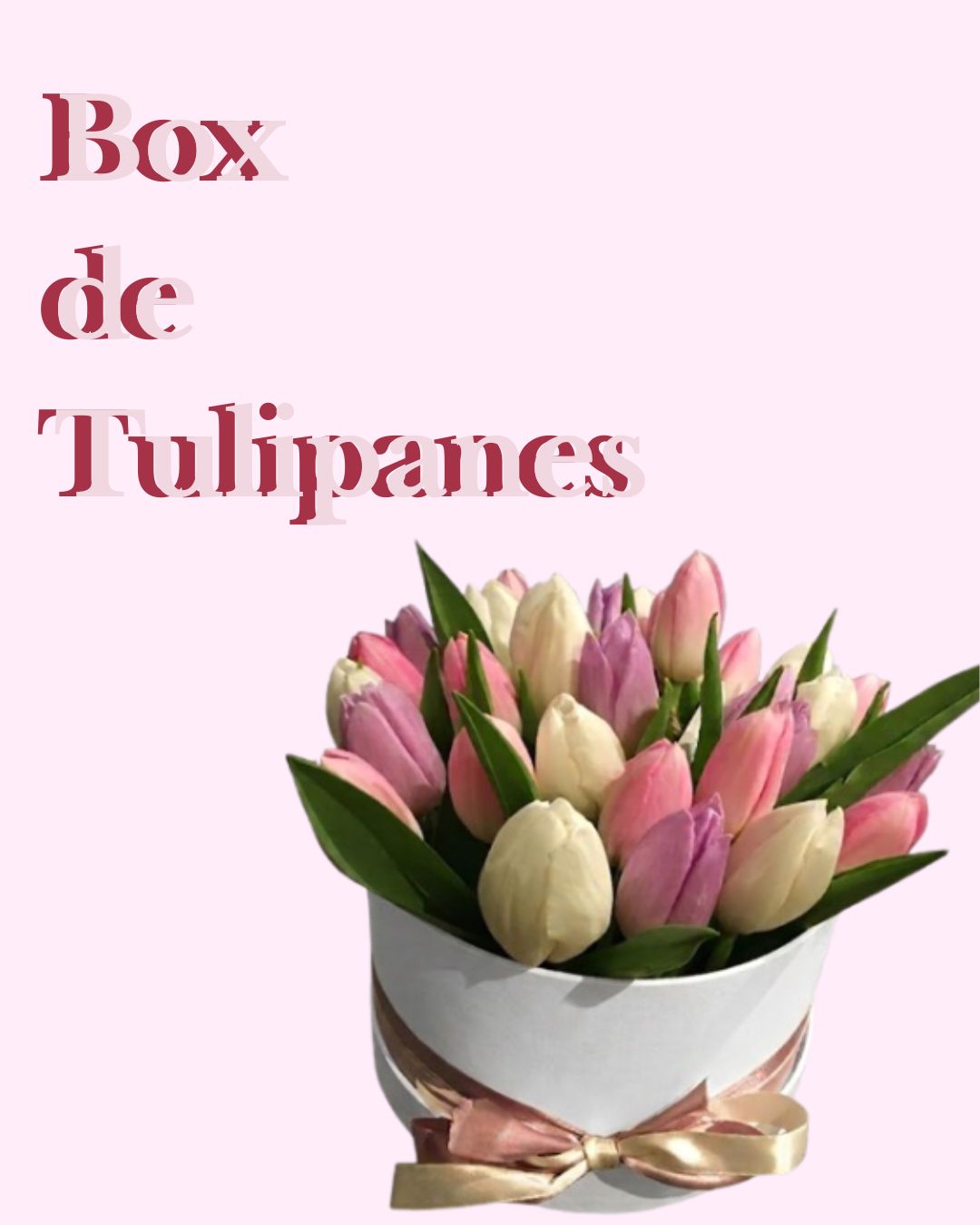 Box de Tulipanes