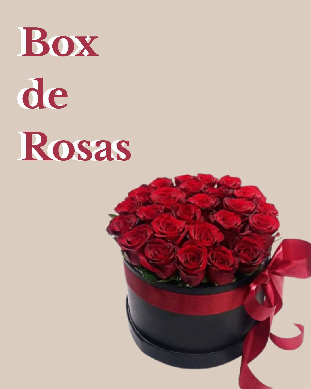 Box  de Rosas