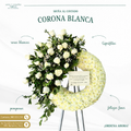 Corona Blanca