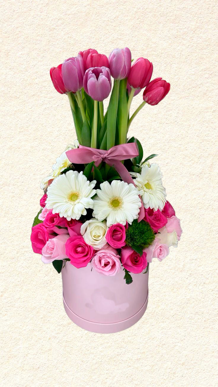 Box de tulipanes elegancia